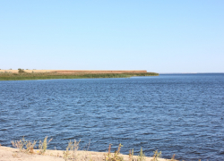 Поездка в Красноармейск